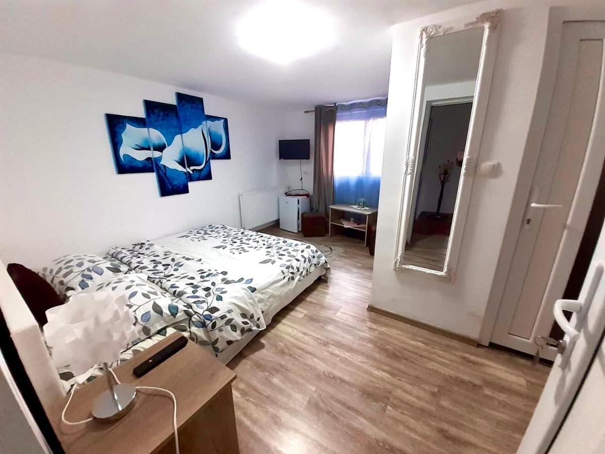 Pensiunea Casa Alba Беклян Экстерьер фото